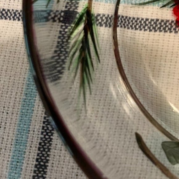 Cardinal & Holly on a Clear Glass Dish with Red Ri - Picture 9 of 11